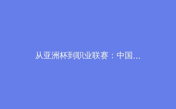 从亚洲杯到职业联赛：中国体育产业的结构性变革与未来挑战 - 3